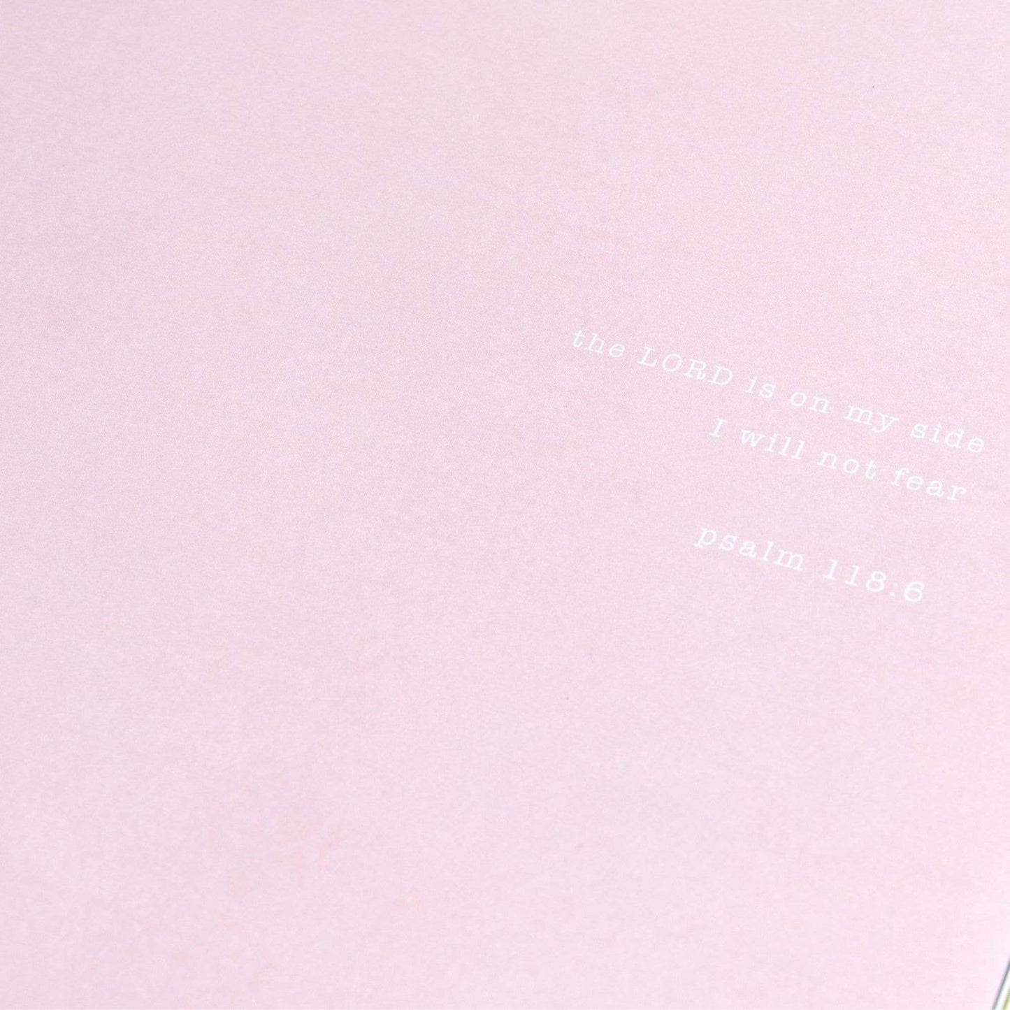 Blush Church Notes Bible Study Notebook